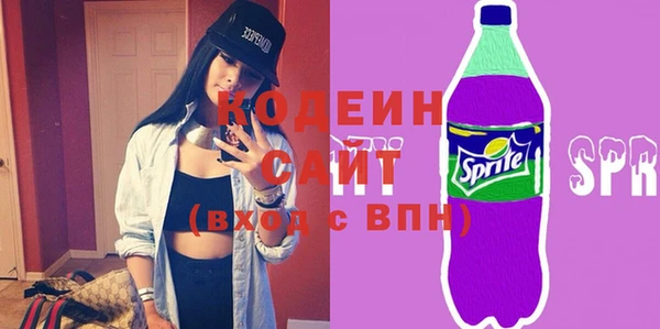 ПСИЛОЦИБИНОВЫЕ ГРИБЫ Вяземский