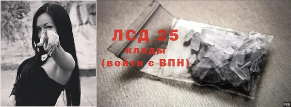 ПСИЛОЦИБИНОВЫЕ ГРИБЫ Вяземский