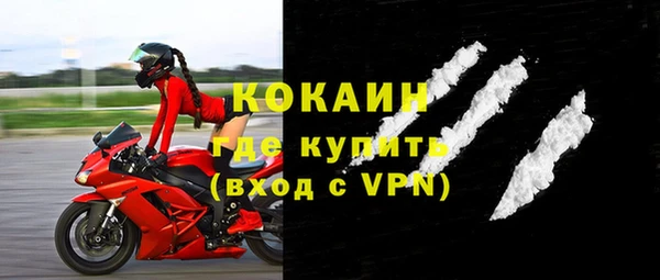 ПСИЛОЦИБИНОВЫЕ ГРИБЫ Вяземский