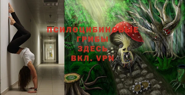ПСИЛОЦИБИНОВЫЕ ГРИБЫ Вяземский