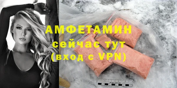 ПСИЛОЦИБИНОВЫЕ ГРИБЫ Вяземский