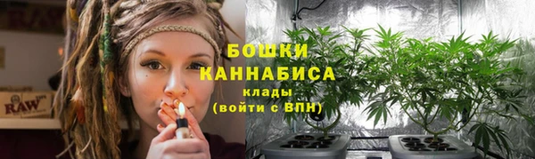 ПСИЛОЦИБИНОВЫЕ ГРИБЫ Вяземский